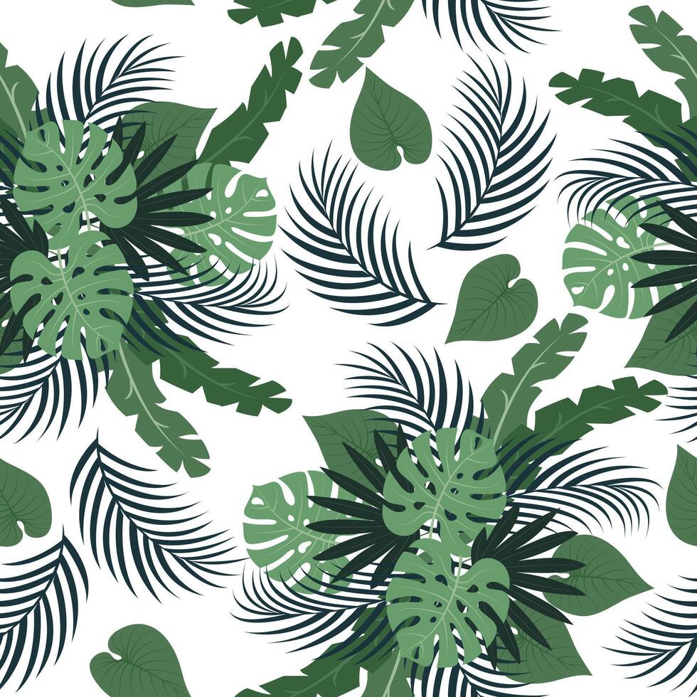 Seamless pattern with hand drawn tropical monstera and palm leaves on white background. vector