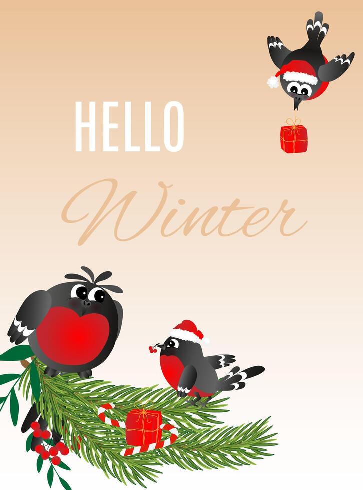 Greeting postcard Helllo Winter. Happy new year and Merry Christmas with cute, funny bullfinches. You can change the text. vector