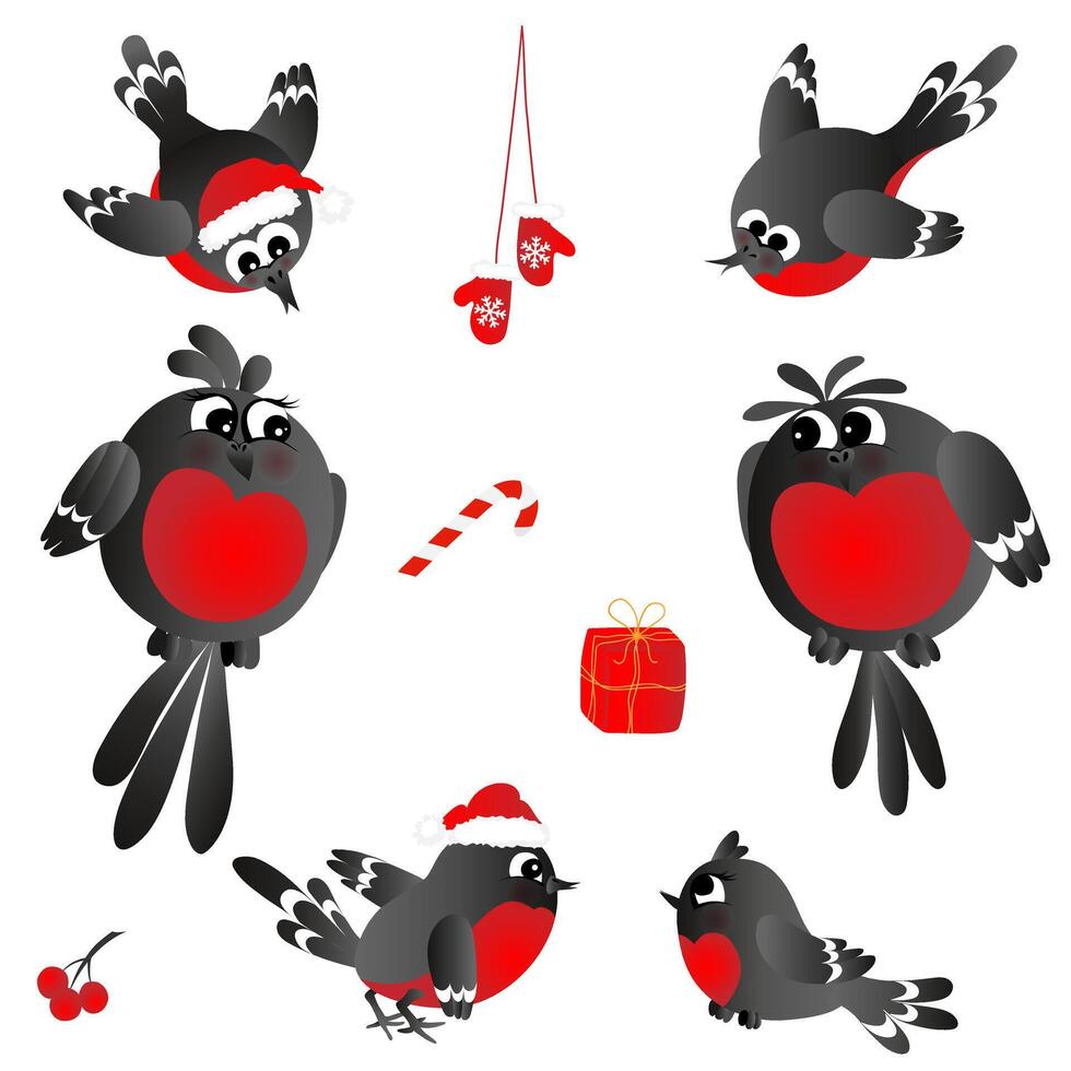 Set of cute, funny family of bullfinches.  Vector illustration EPS10.