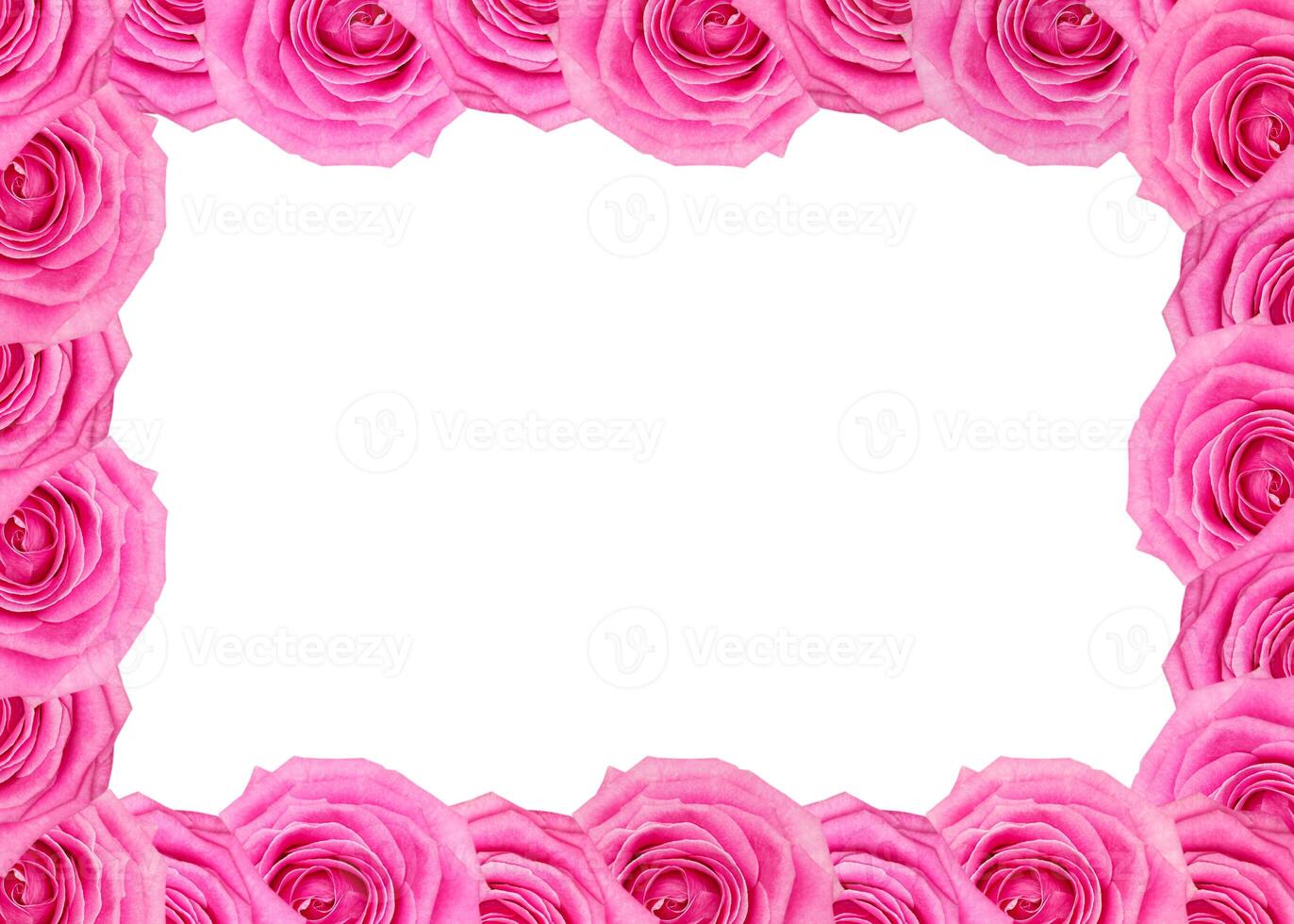 Flower frame of pink roses pattern isolated on white background photo