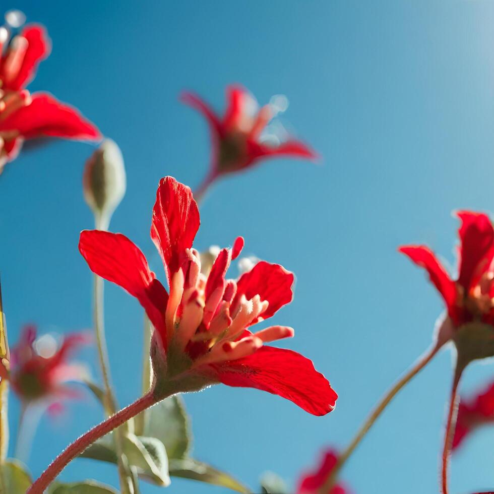 AI generated a red flowers photo