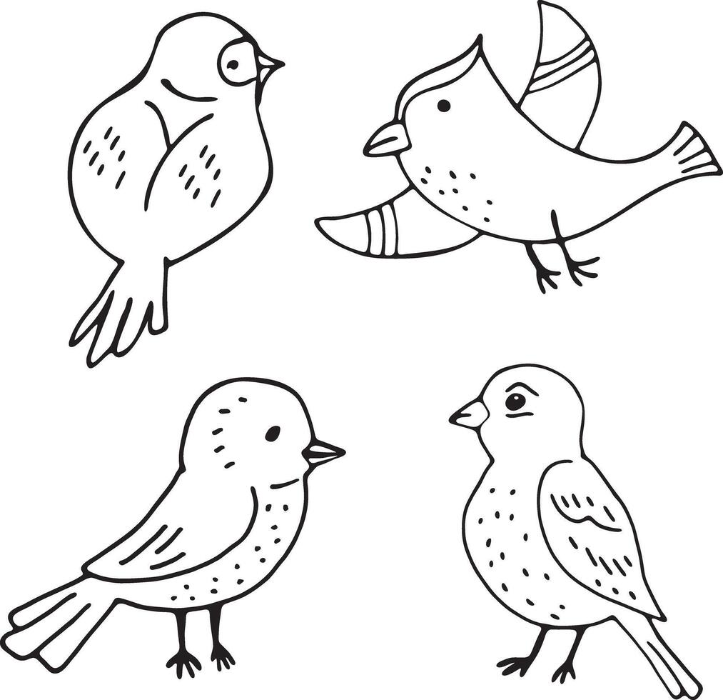Four cute birds in doodle style for coloring. Vector illustration