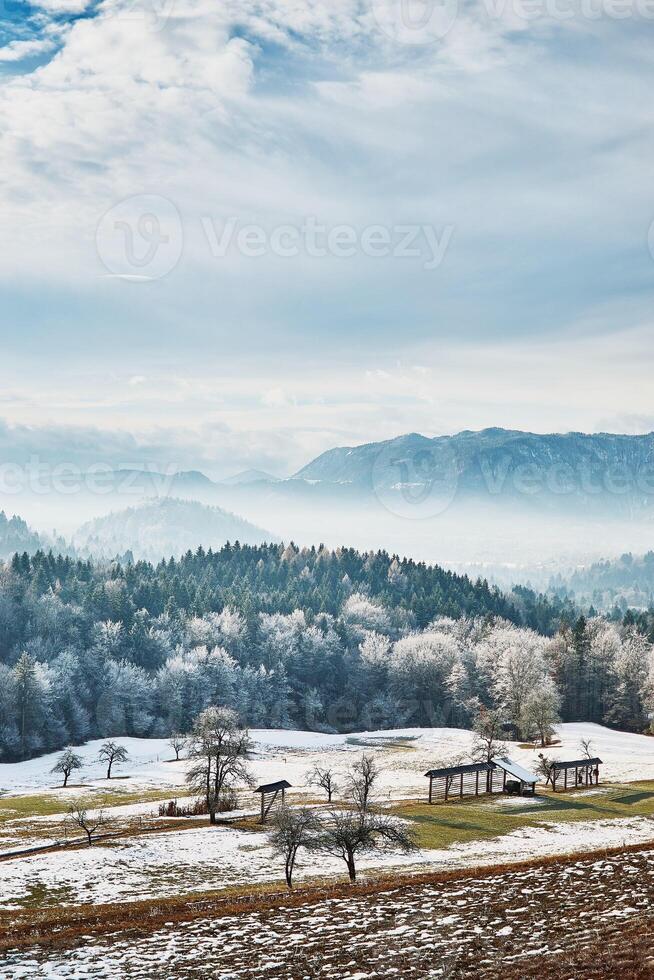 invierno paisaje de campo con montañas foto