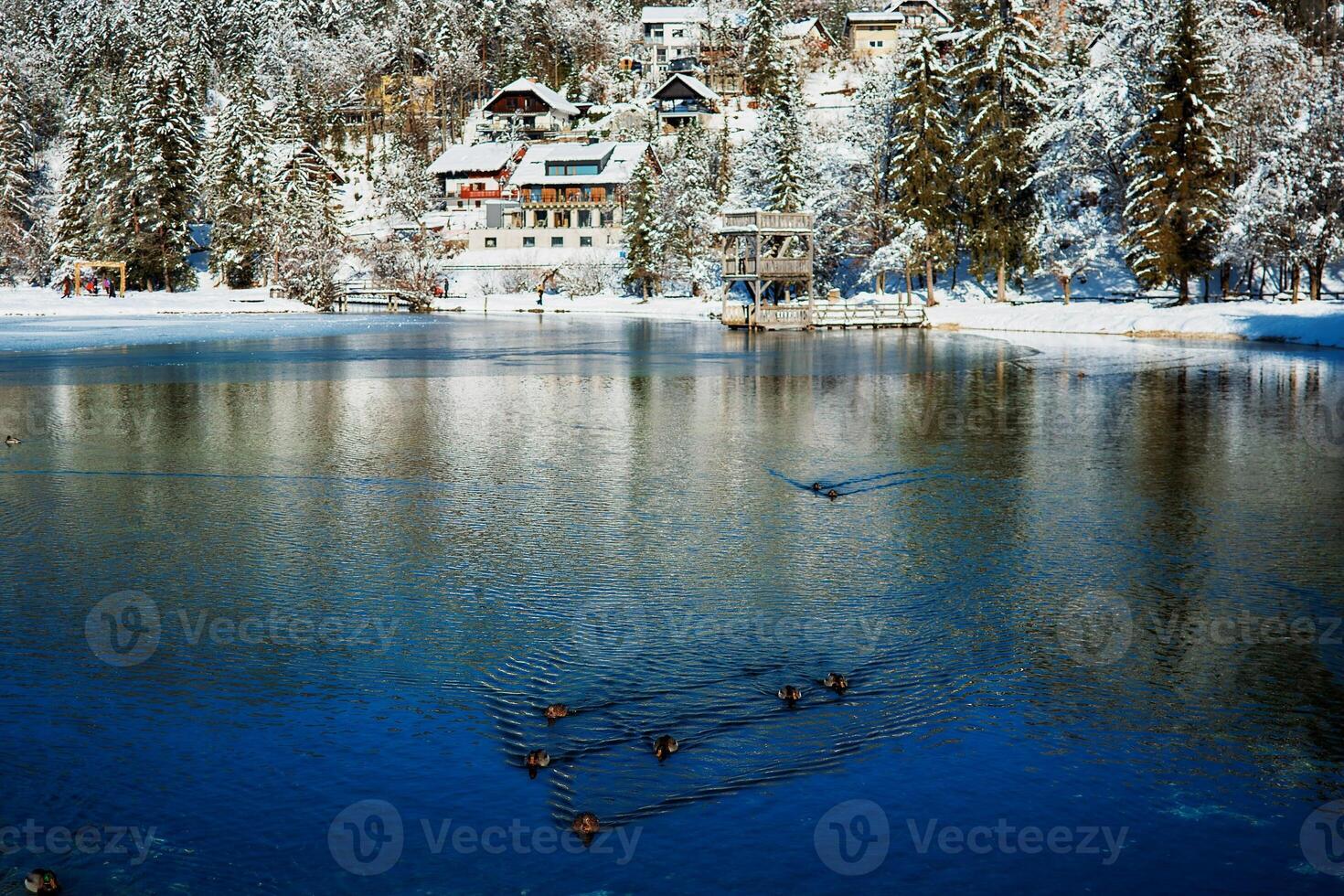 view on lake in Krajska Gora photo