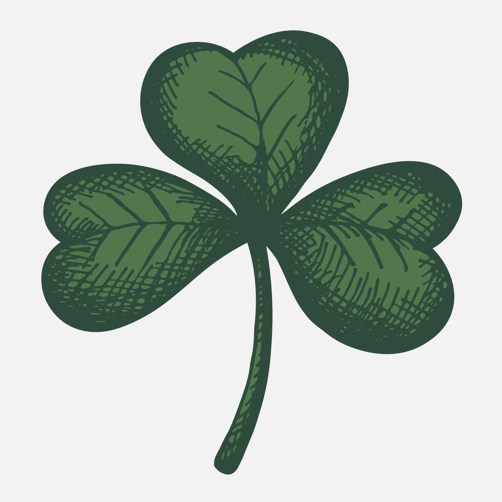 Clovers sketch Saint Patrick's day engraved vintage shamrock flower hand drawn vector illustration design for St. Patrick's Irish festival, sign for flyer, card, paper, print, wrapping, label, icon