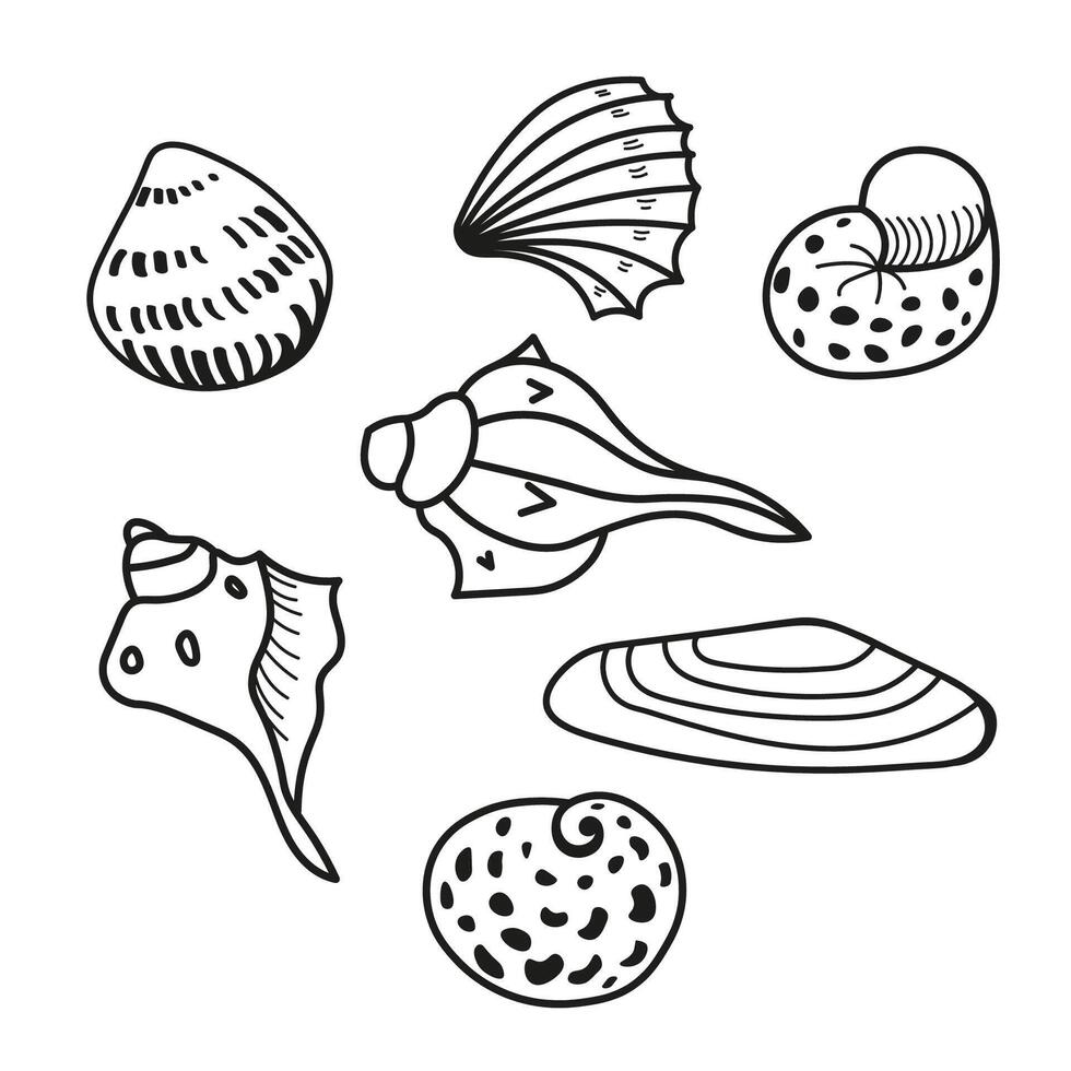 Seashells sketch vector set hand drawn vector illustration. Collection of line art ink sketches various mollusk sea shells different forms design for logo, sign, wrapping, label, decor, print, paper