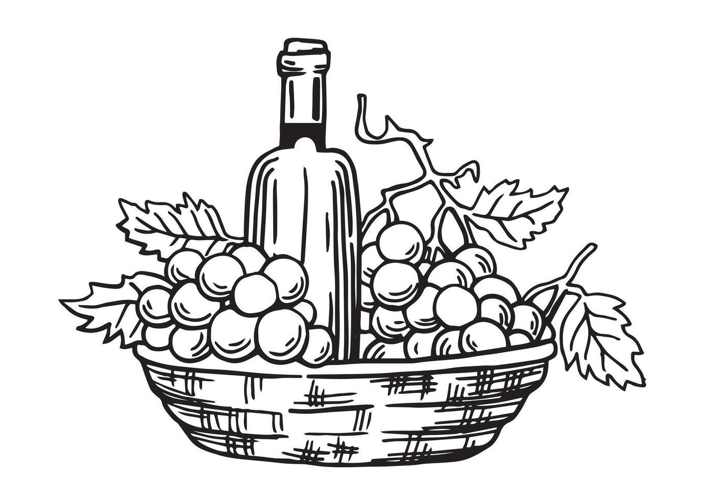 bottles of wine and a basket of grapes. vintage drawing in sketch style. black and white illustration vector