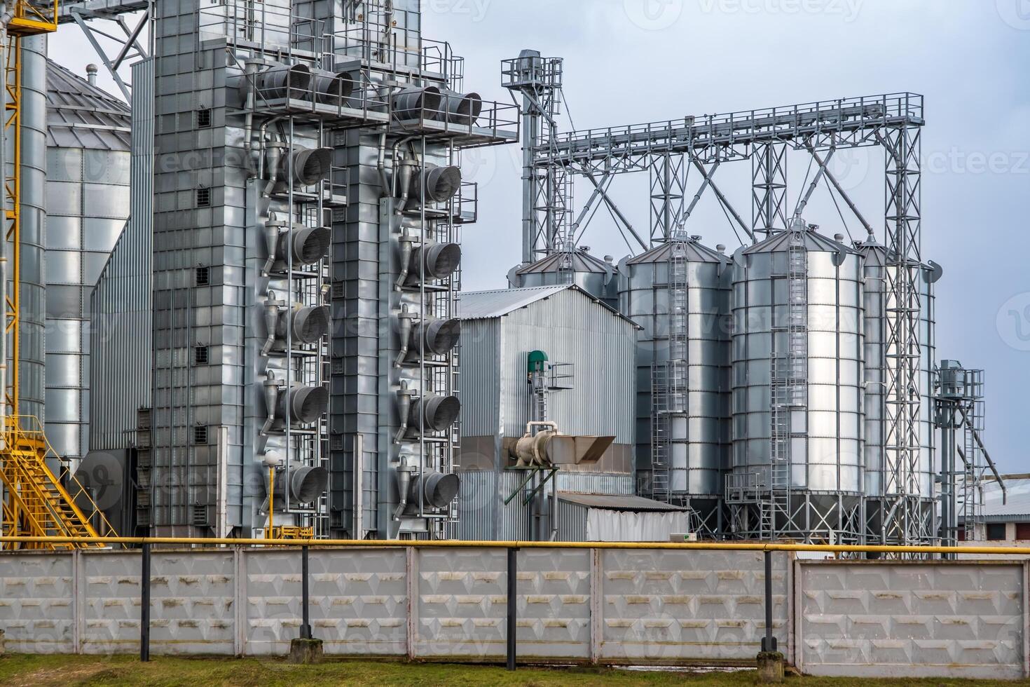 silos en agroindustrial complejo con semilla limpieza y el secado línea para grano almacenamiento foto