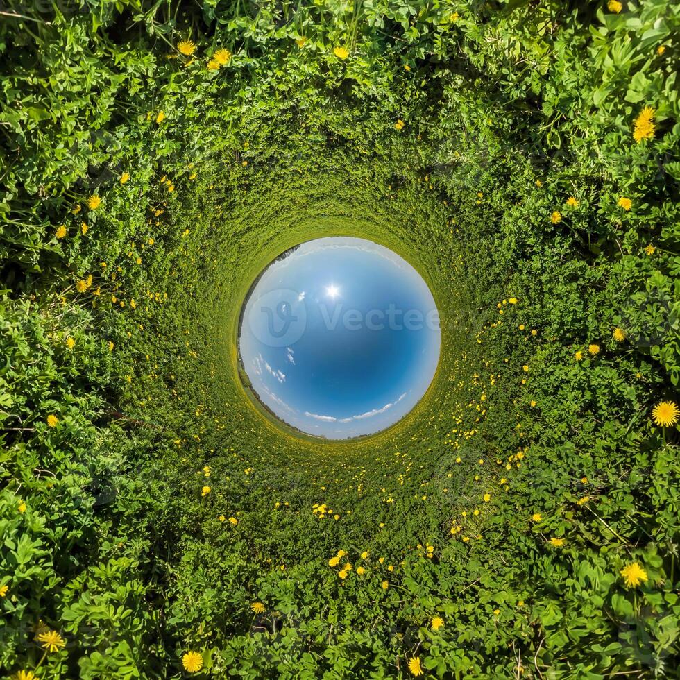 agujero azul esfera pequeño planeta dentro de hierba verde fondo de marco redondo foto