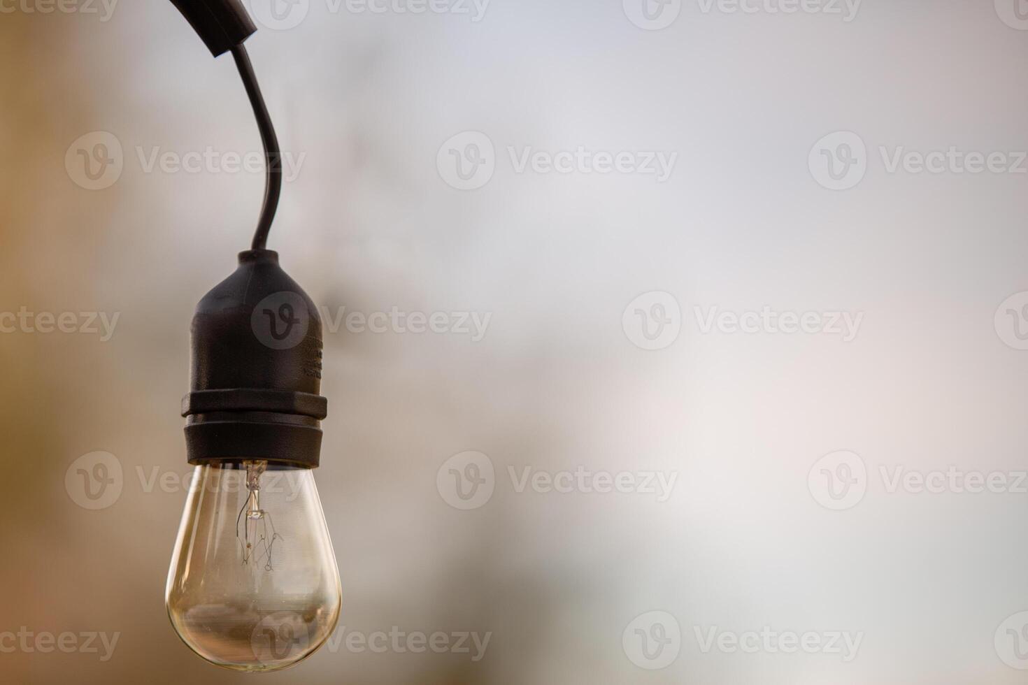 Outdoor light bulb hanging photo