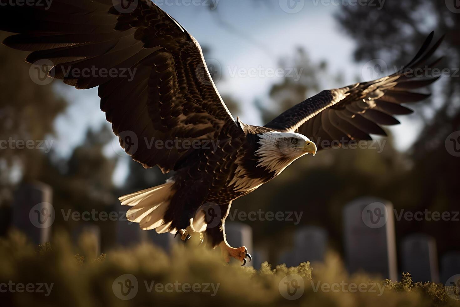 AI generated Eagle at American Cemetery. Neural network AI generated photo