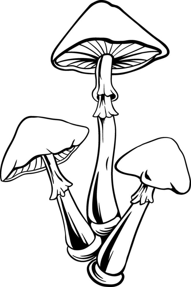 mushroom line art vector