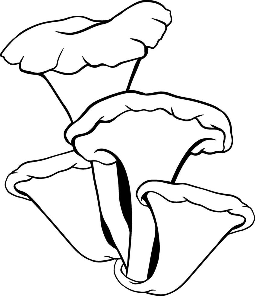 mushroom line art vector