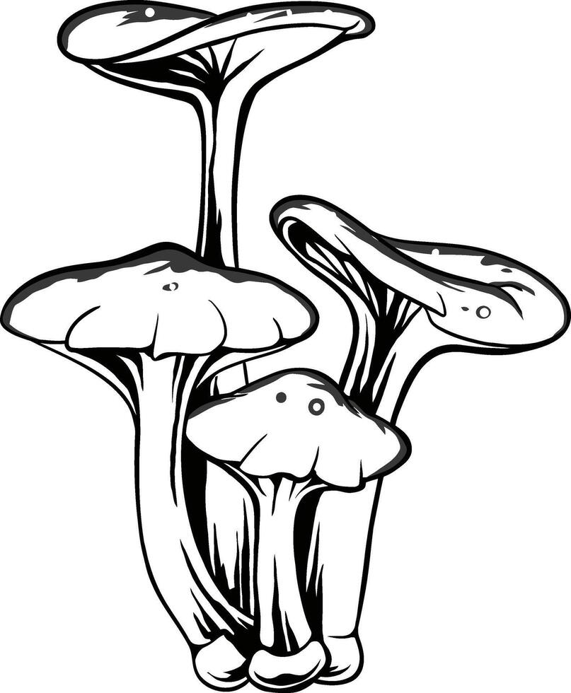 mushroom line art vector