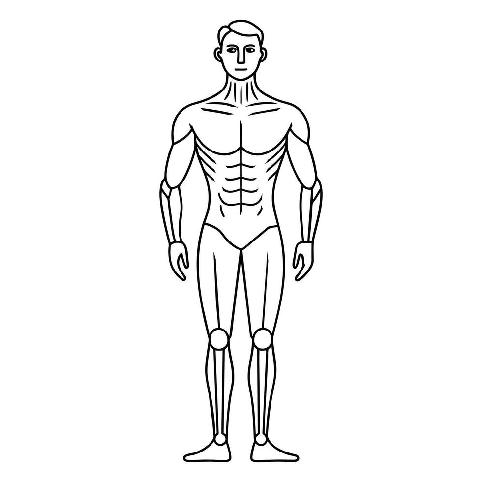 Bodybilder Continuous line art Vector illustration