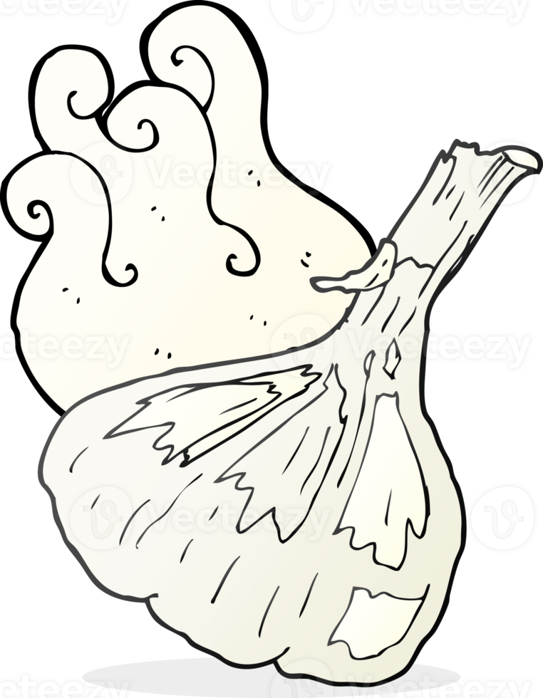 hand drawn cartoon garlic png