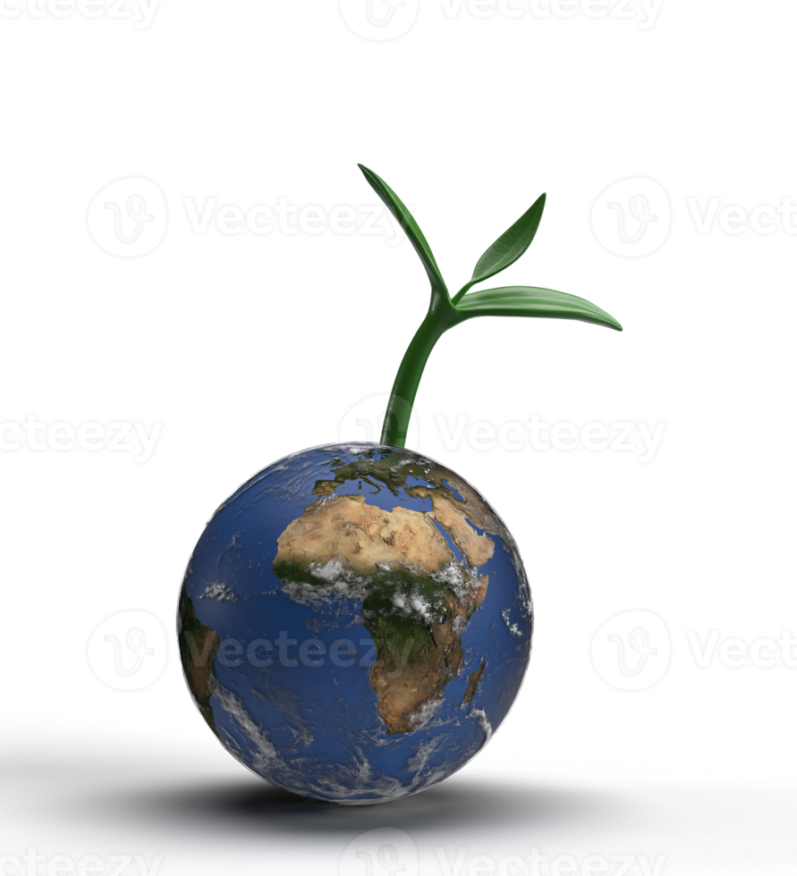 Salve  a terra mundo planeta global mapa bola volta esfera círculo folha plantar Flor símbolo decoração mundo saúde Cuidado ecologia meio Ambiente o negócio energia poder sistema limpar \ limpo poluição.3d render png