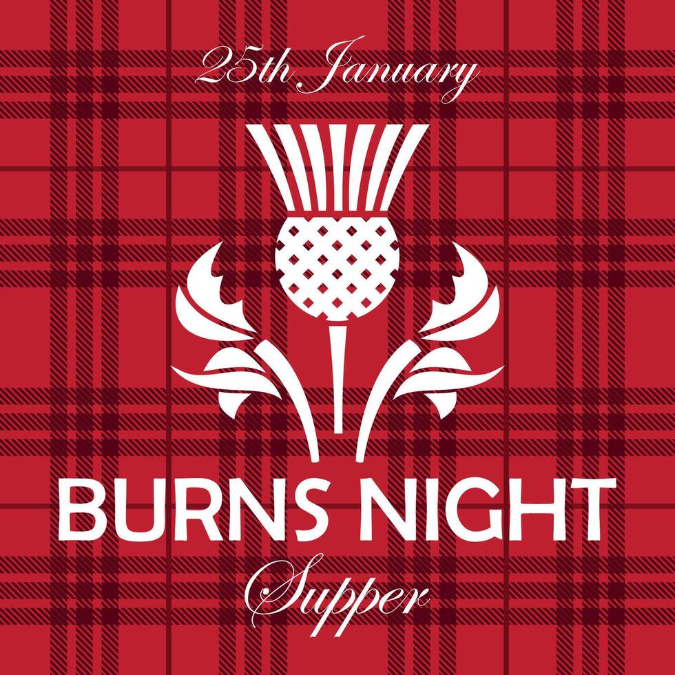 Burns night supper card with thistle on tartan background. Menu with lettering for restaurant, party... vector