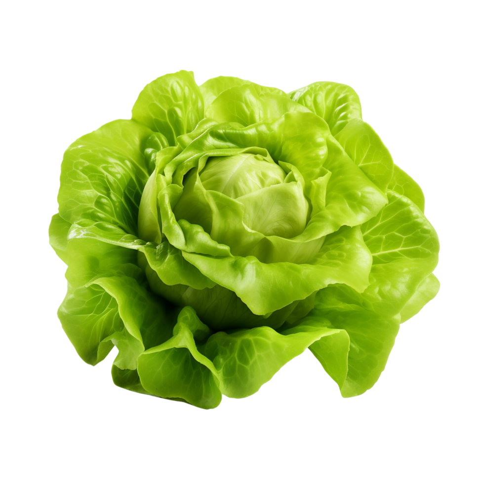 AI generated Green lettuce clip art png