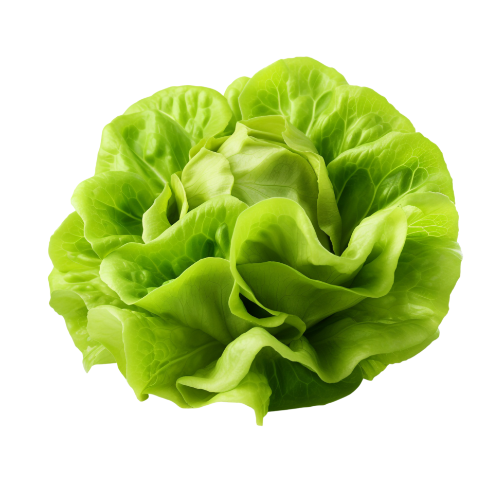 AI generated Green lettuce clip art png