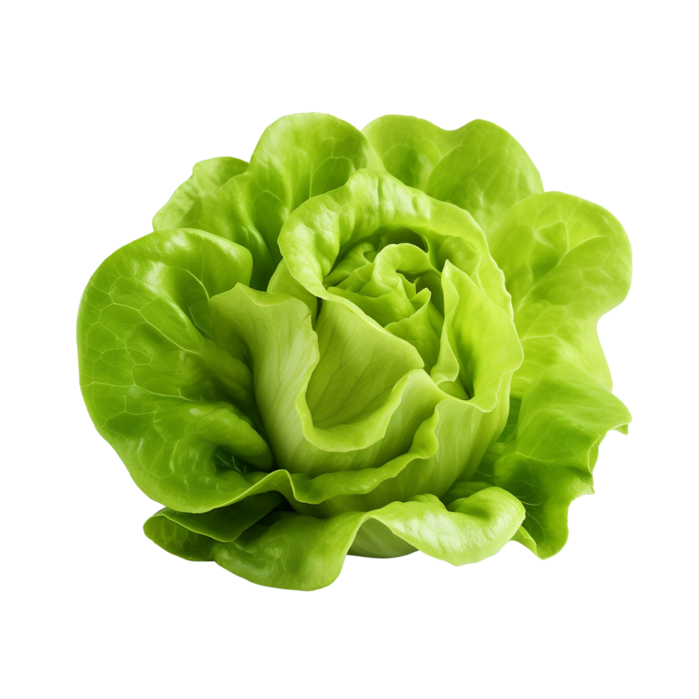 AI generated Green lettuce clip art png