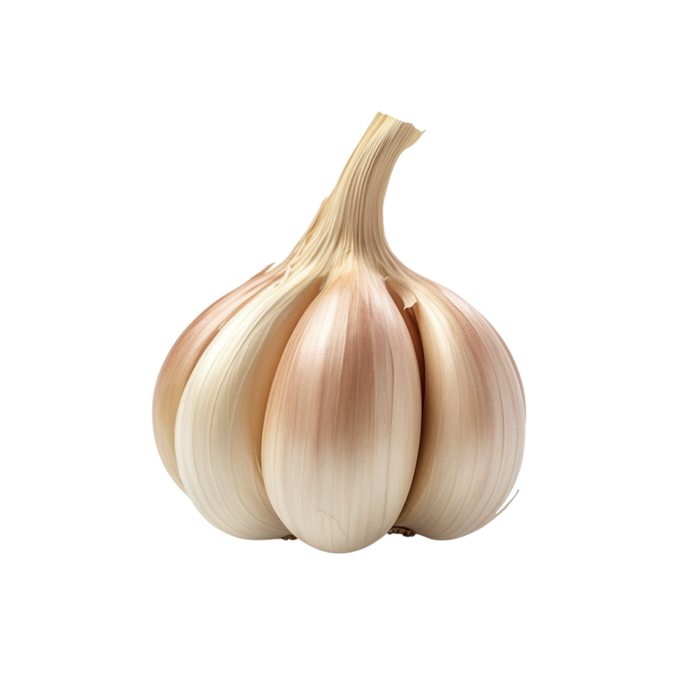 AI generated Garlic clip art png