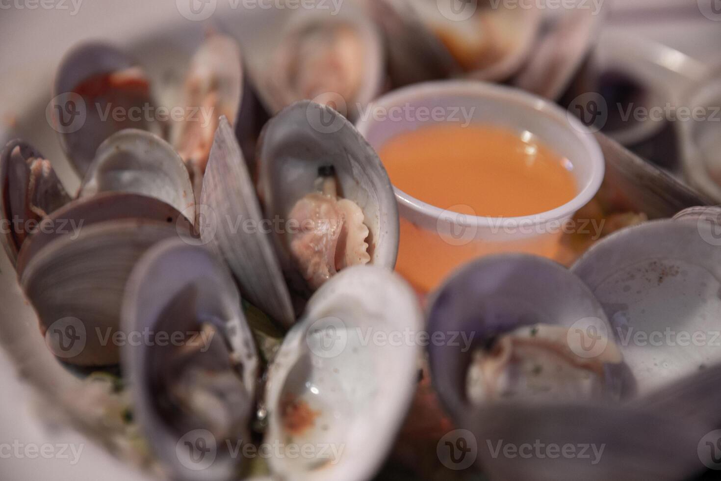 Steamed Clams with Butter photo