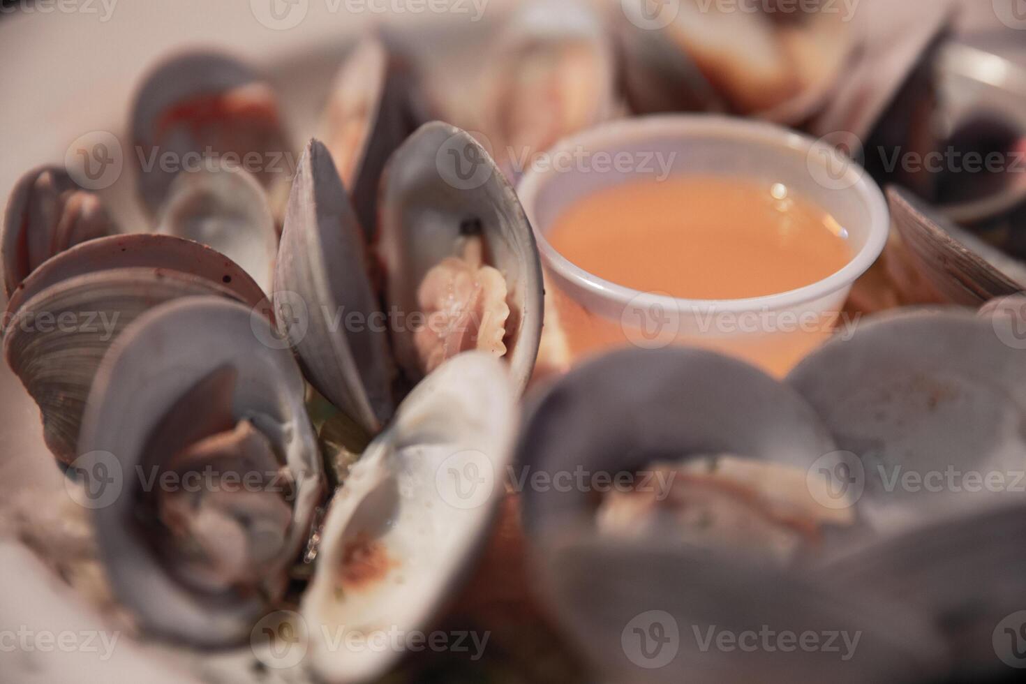 Steamed clams with butter photo