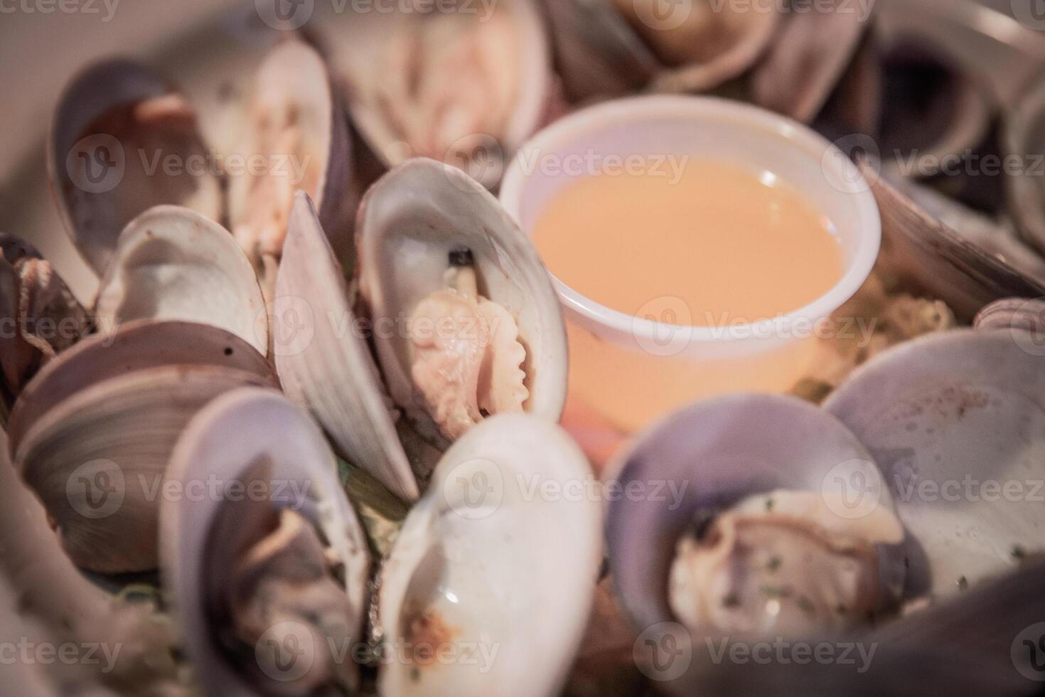 Steamed Clams with Butter photo