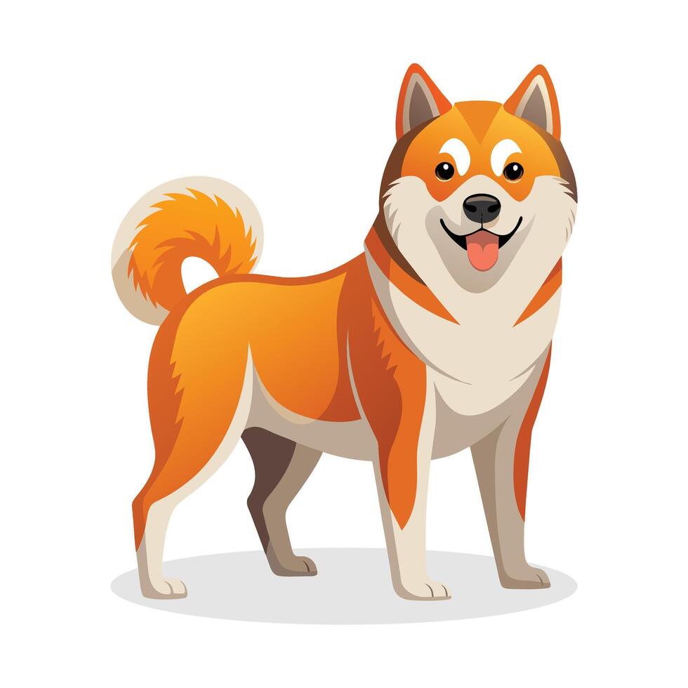 Akita shepherd animal vector illustration on white background