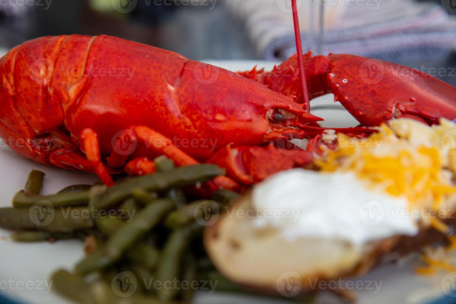 Maine lobster dinner photo