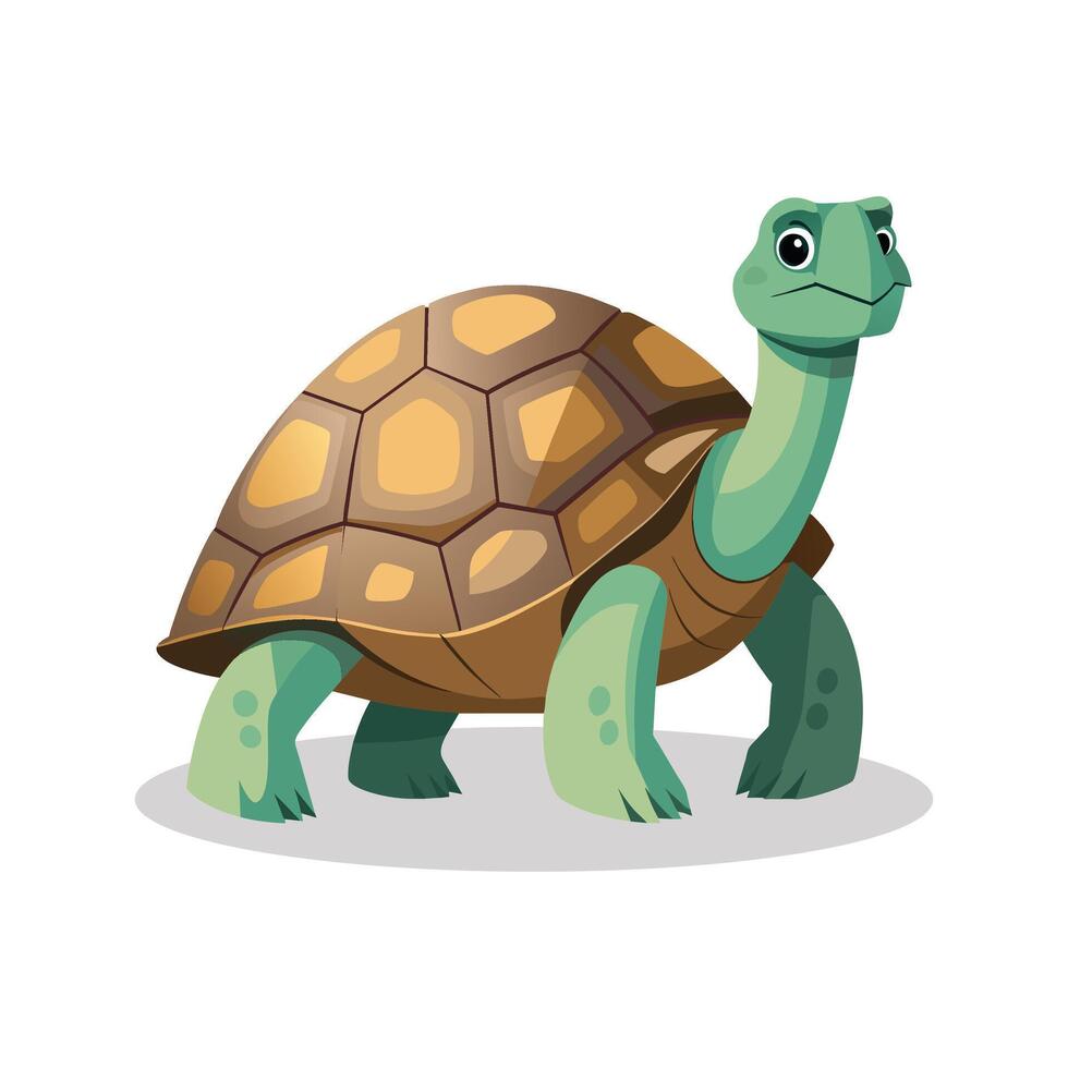 Aldabra giant tortoise Animal flat illustration on white Background vector