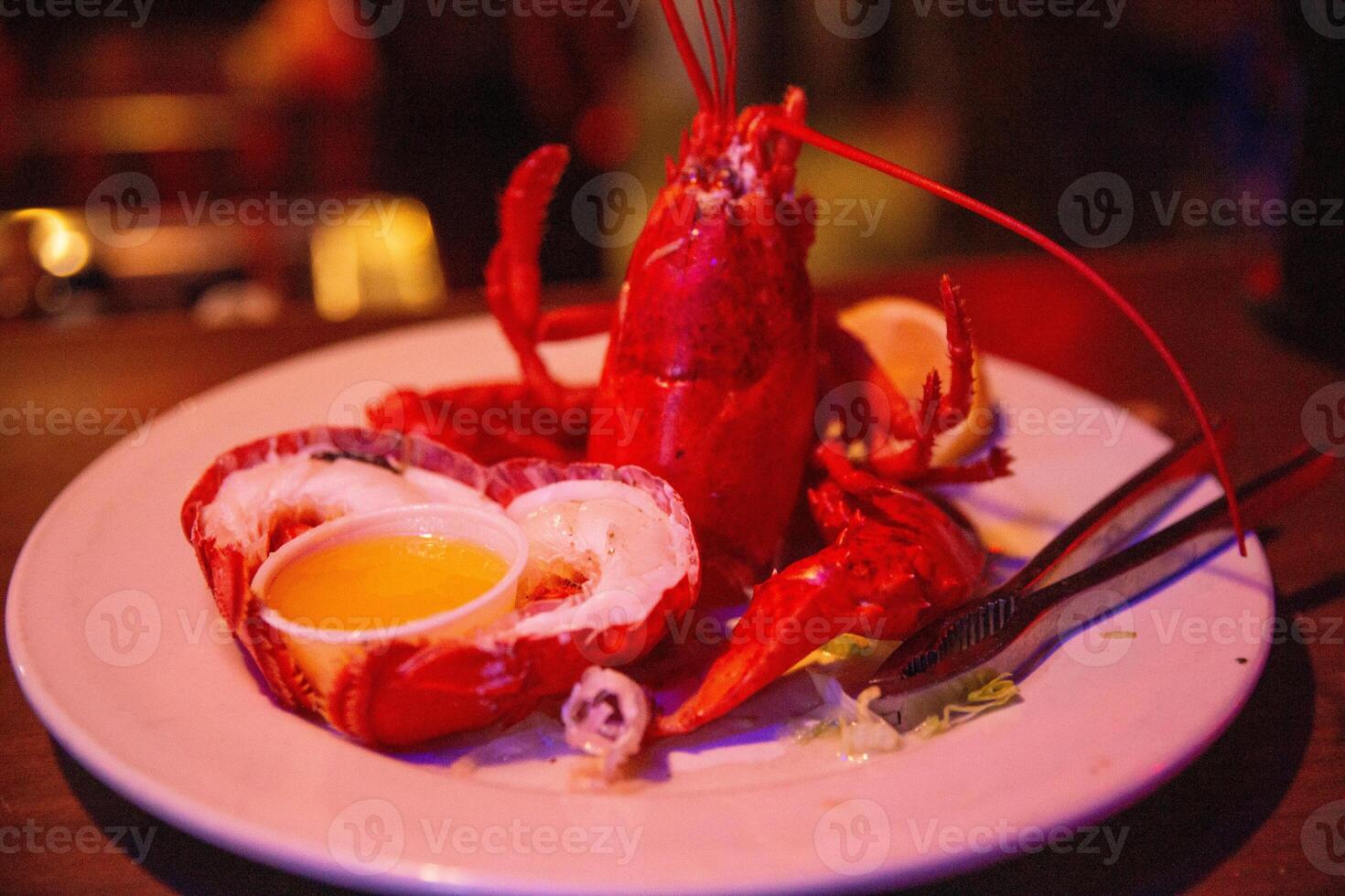 Steamed Whole Lobster photo