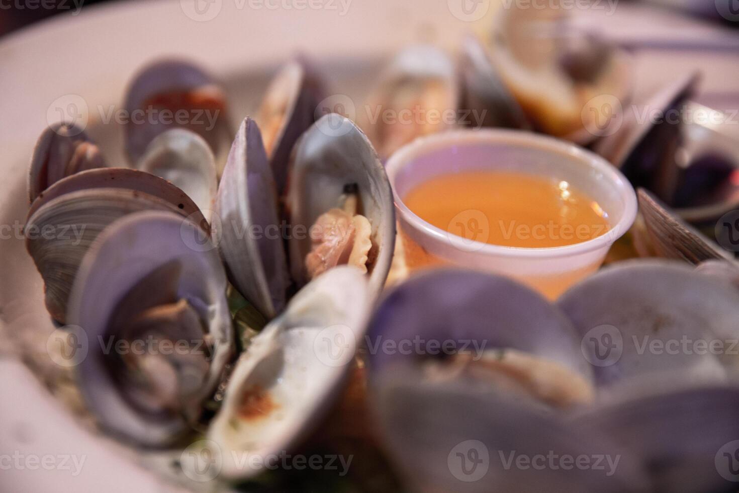 Steamed Clams with Butter photo