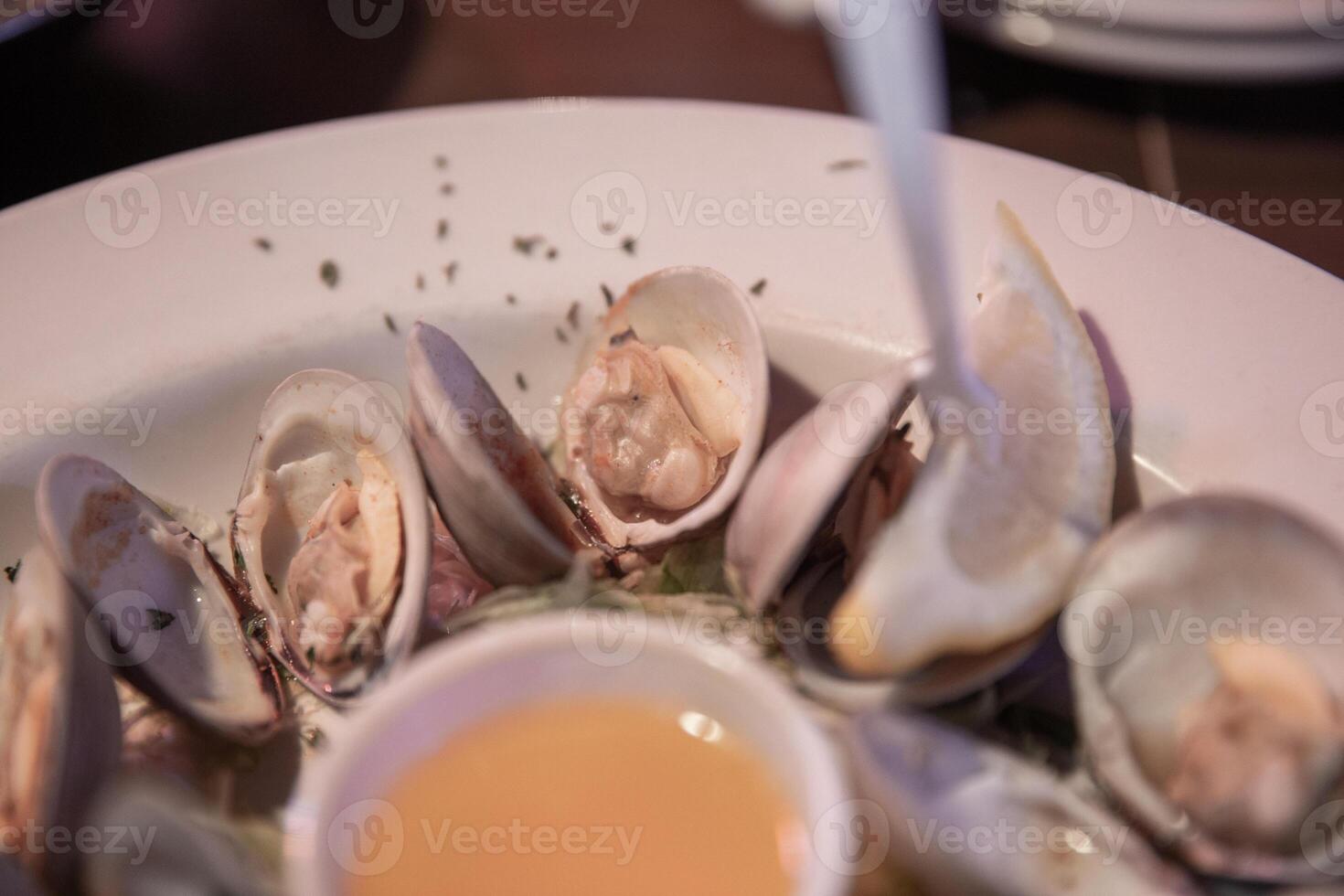 Steamed Clams with Butter photo