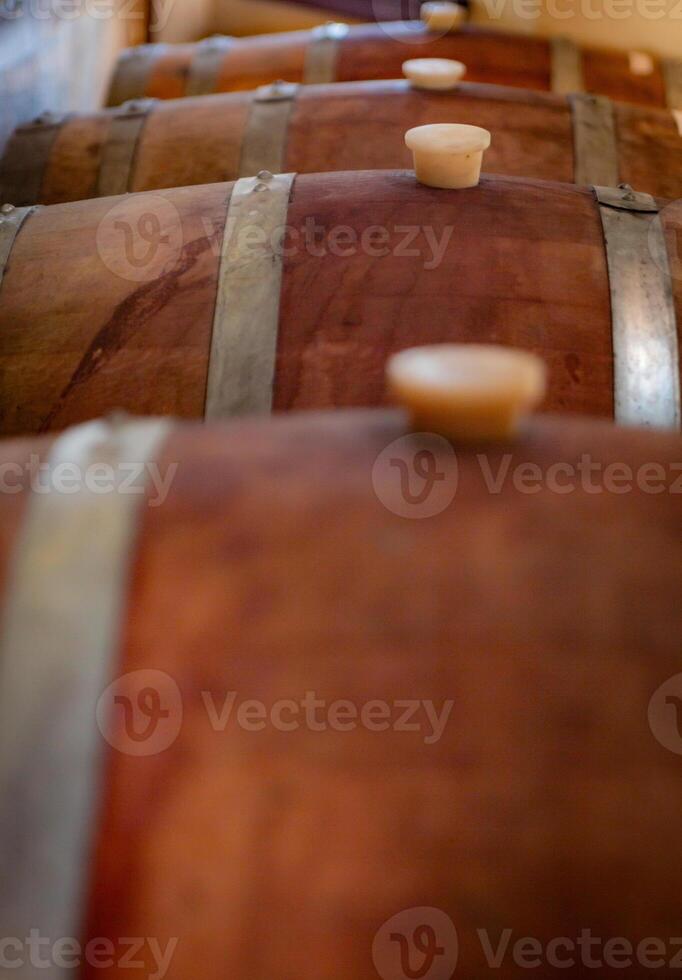 Row of Wine Barrels photo