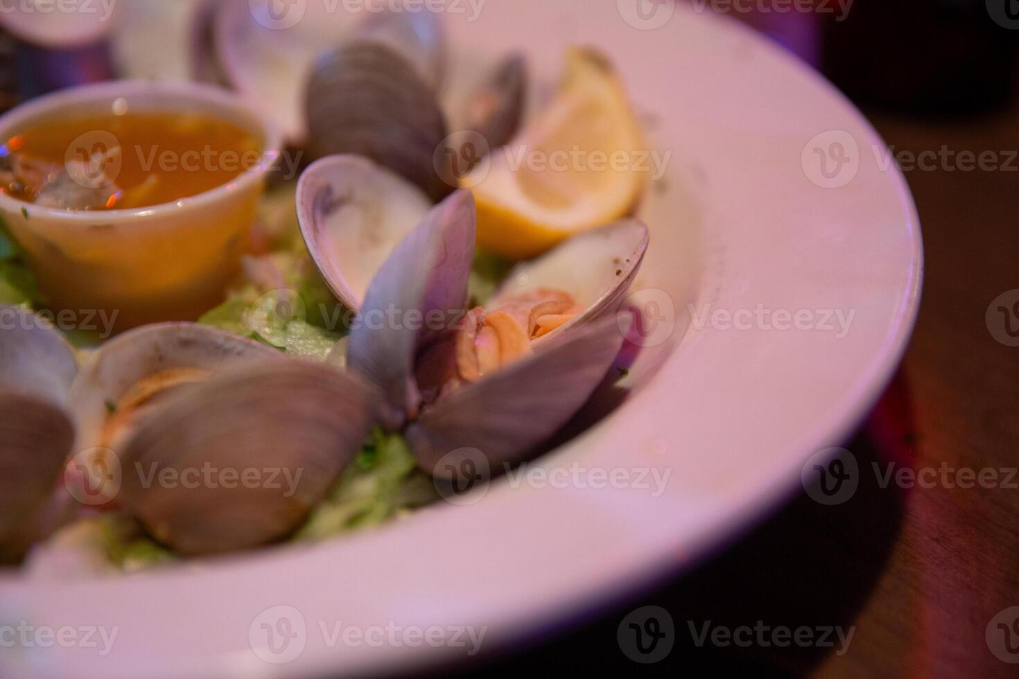 Steamed Clams with Butter photo