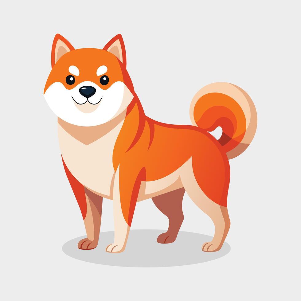 Akita animal vector illustration on white background