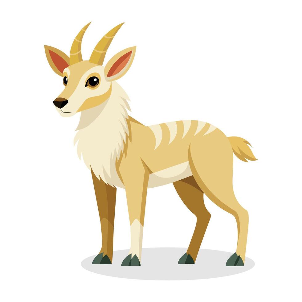 Akbash animal vector illustration on white background
