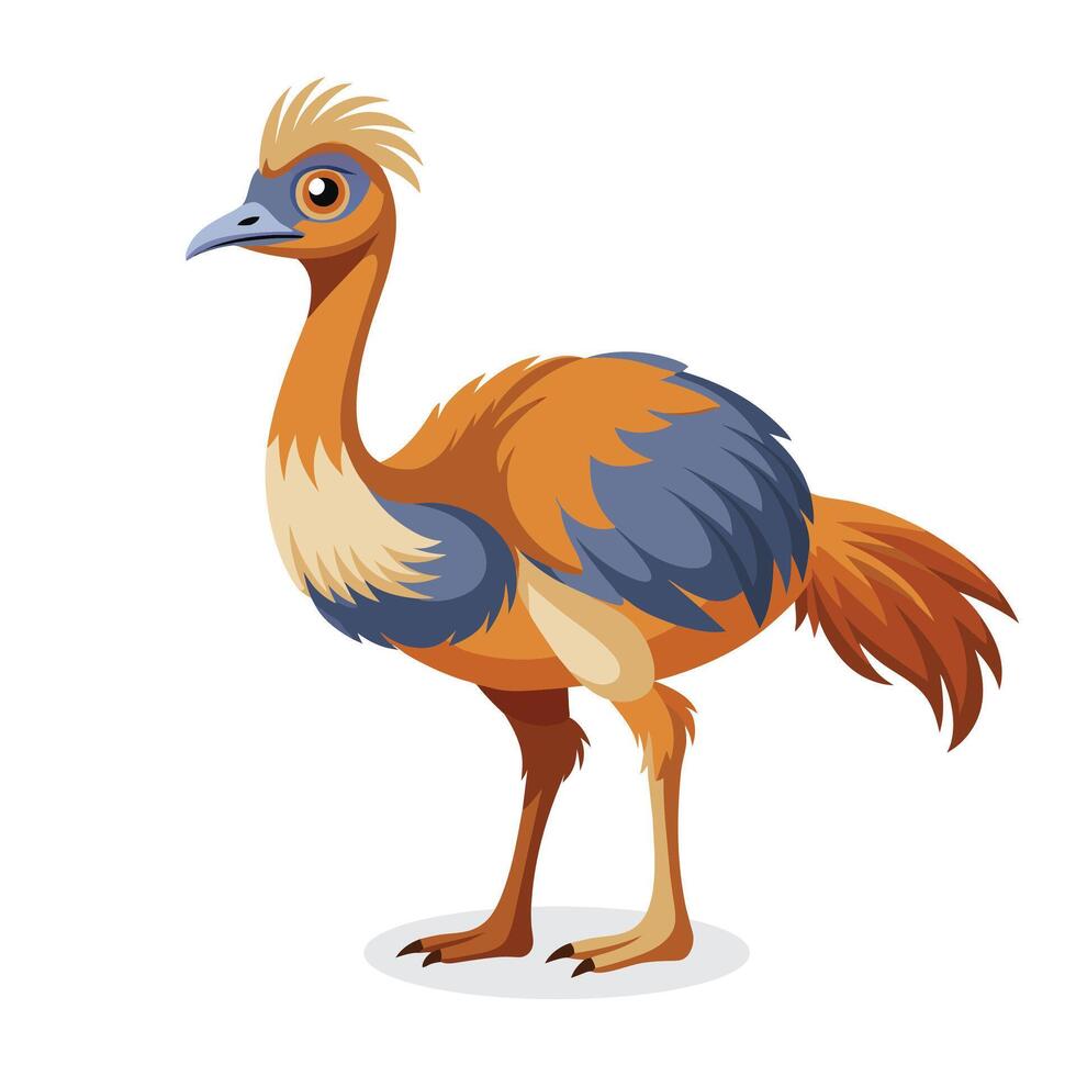 Emu flat Vector illustration on white background