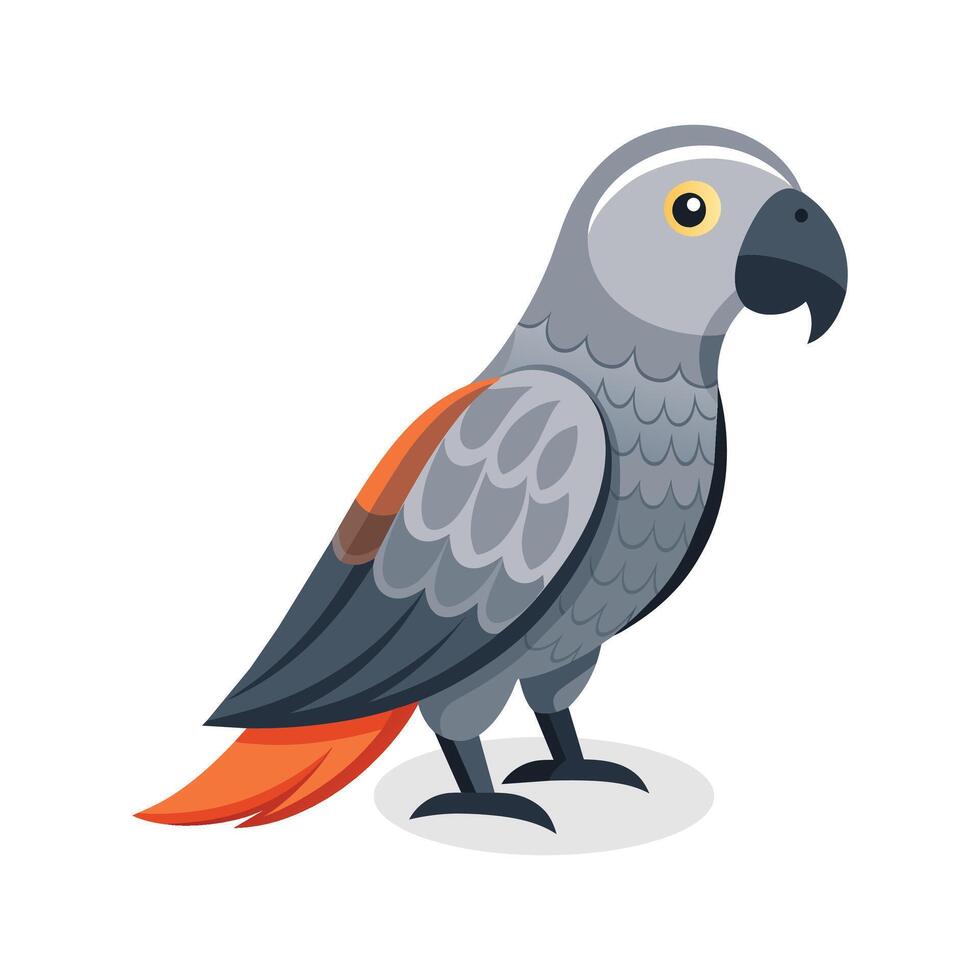 African grey parrot vector illustration on white background