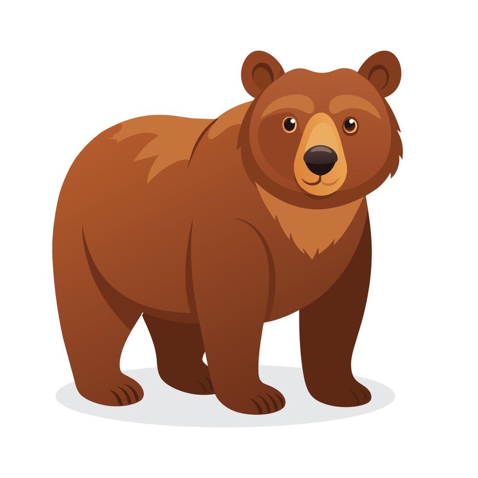 Eurasian brown Bear flat Vector illustration on white background