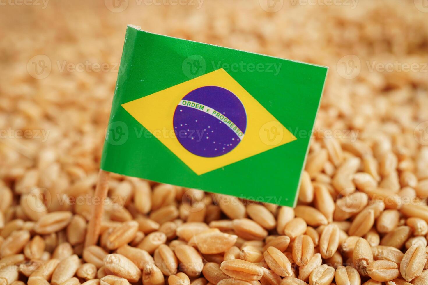 Brazil flag on grain wheat, trade export and economy concept. photo