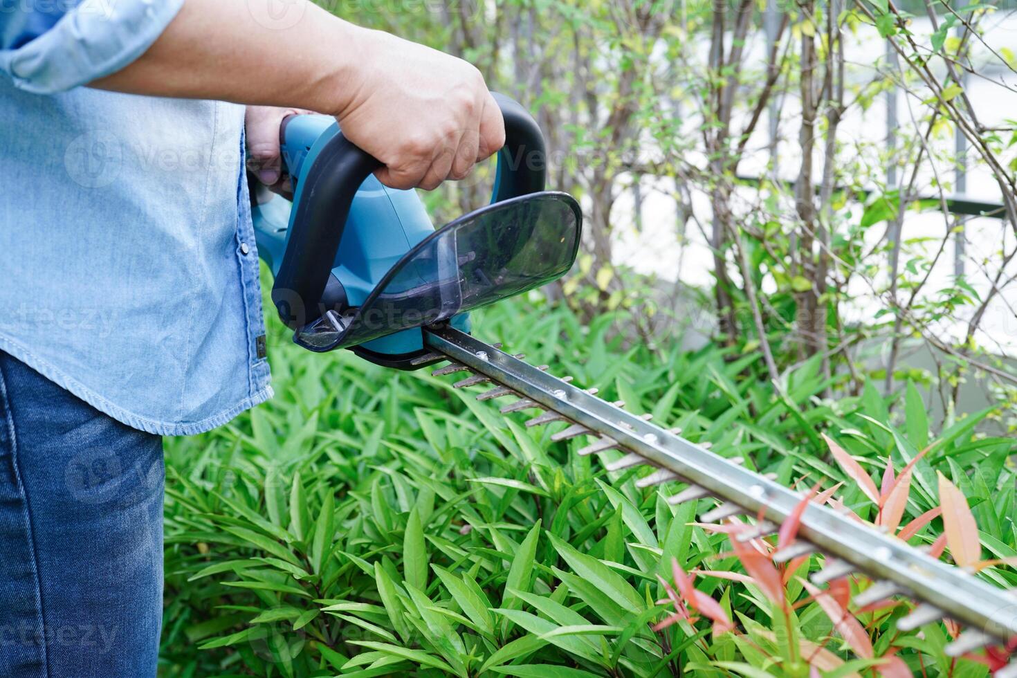 Gardener trimming bush by electric hedge clippers in garden. Hobby at home. photo