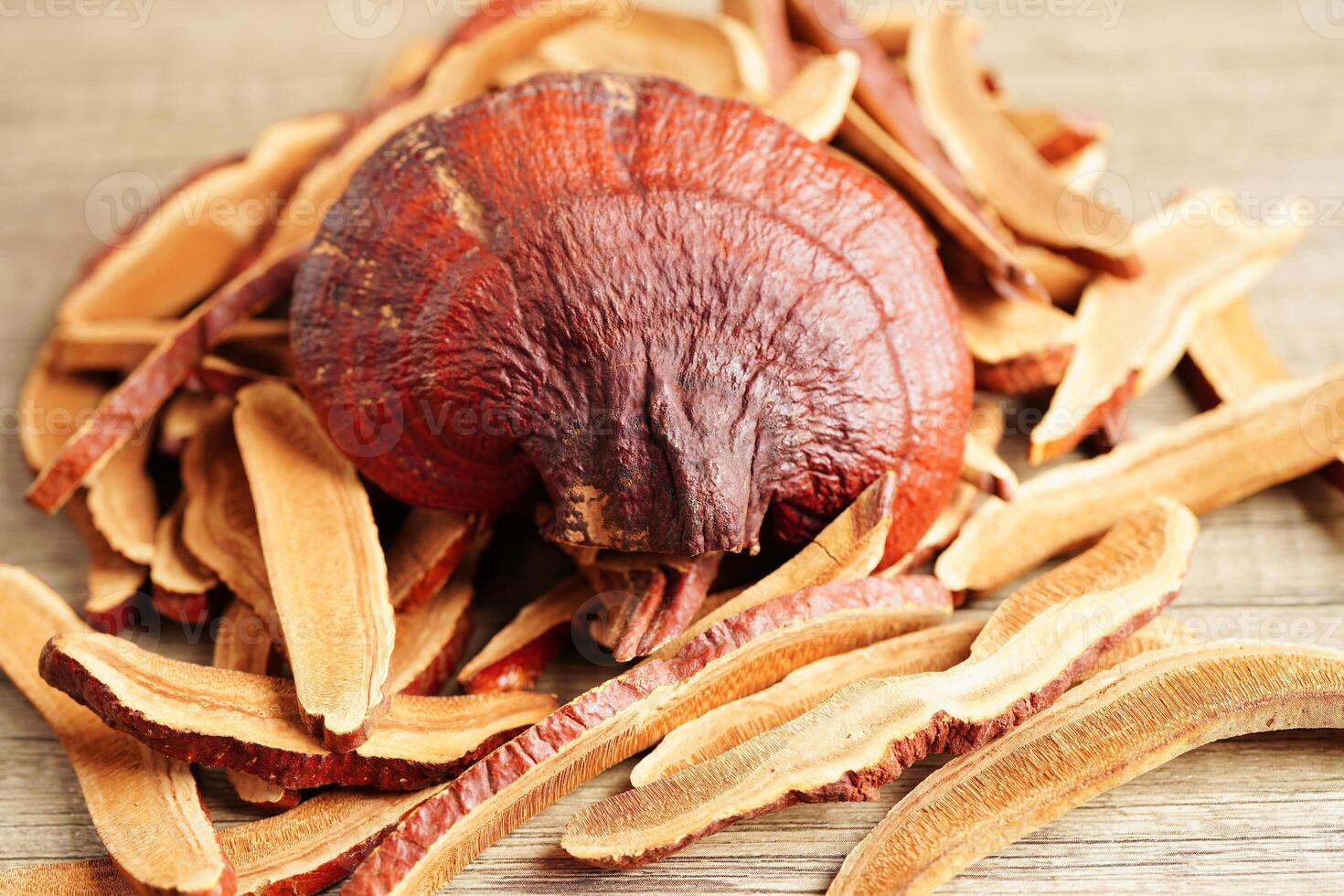 hongo lingzhi o reishi con cápsulas, comida sana natural orgánica. foto