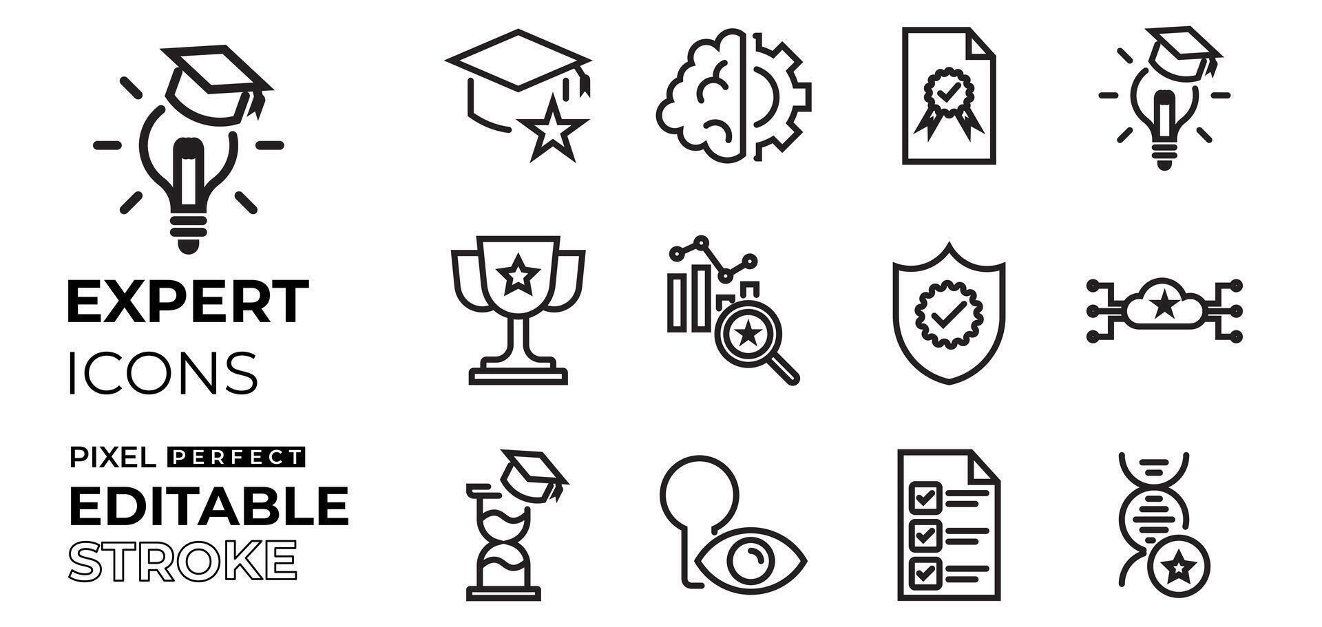 business expert icons set with knowledge, brain, talent, ideas, winner, analytics, secured, process, protect, time management with editable stroke vector