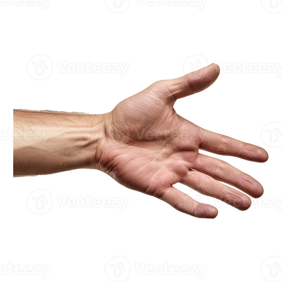 AI generated Man's hand png