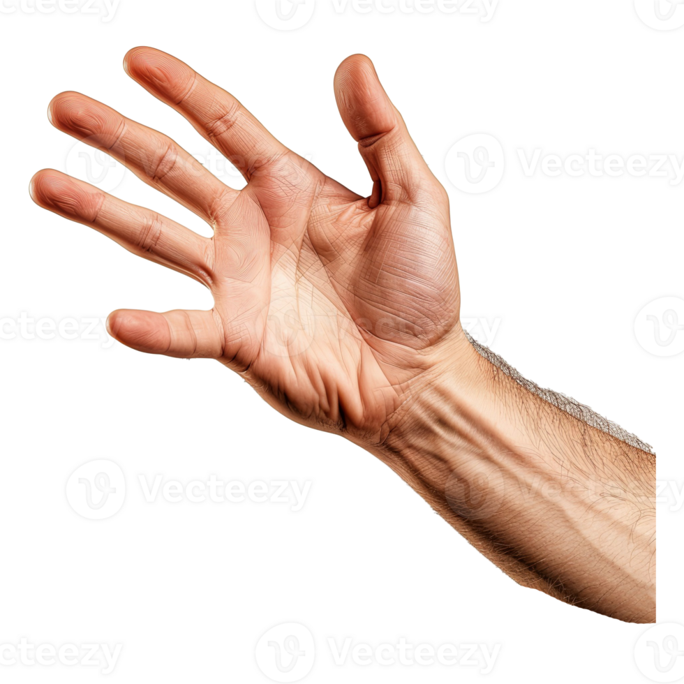 AI generated Man's hand png