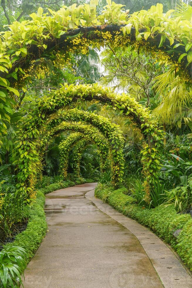 singapur gardens in asia photo