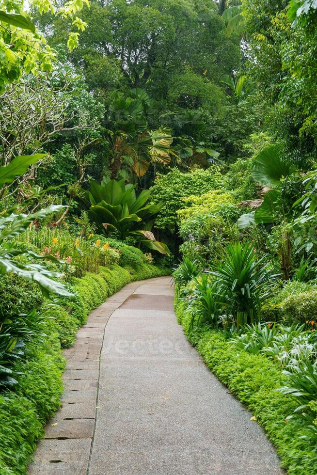 Garden in Singapur photo